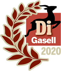 DI Gasell 2020
